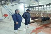 بازدید مسئول دفتر نمایندگی ولی فقیه دامپزشکی استان مرکزی از کشتارگاه طیور شهرستان اراک